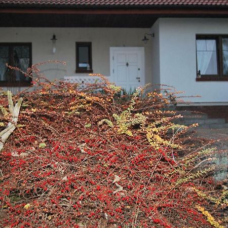 Pokoje Nad Mlynem Stryków Eksteriør bilde